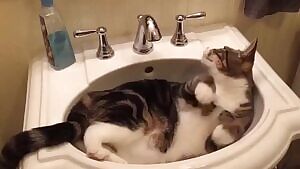 Getting nice and wet