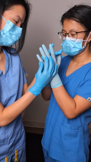 MedFet Asian Latex Gloves Medical