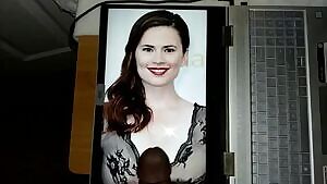 Hayley Atwell tribute