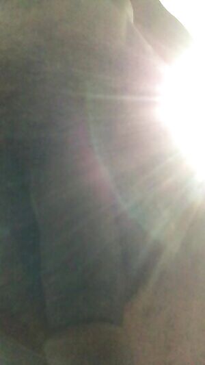 As requested, here I am walking with my big cock swinging around!