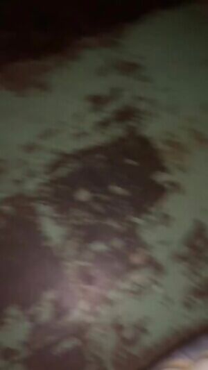 I Found my Favorite Hobby!