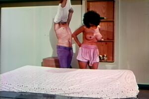 Vintage Porn Upscaled Blowjob Celebrity r/YourDadsOldPorn