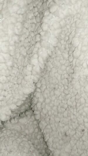 Hello, pussy cat 🐯