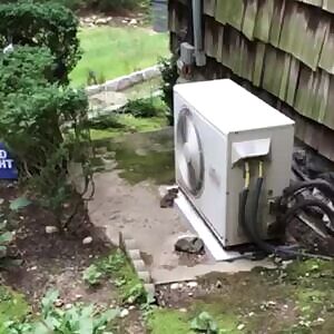 Olivia wilde Grinding