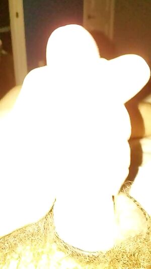 Can we go nice and slow?