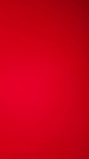 She got bounce what yall think???🤔🤔🤔