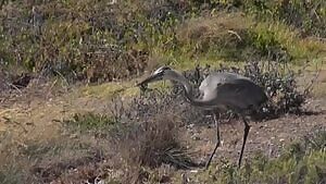 Thought you guys might appreciate this....