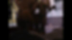 Ebony Hotwives BBC Big Ass OnlyFans