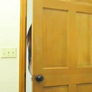 Video Title or Source