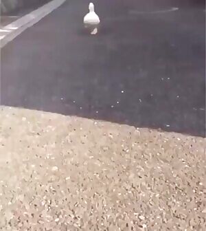 Finished me in seconds