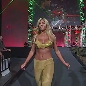 Torrie Wilson: Big tits, long blonde hair, flat stomach and a pretty smile
