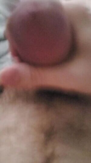 Just making sure the link work this time!